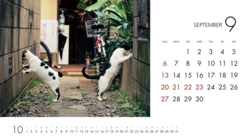 ケニア・ドイの猫国へようこそ！カレンダー2015（卓上カレンダー）ねこ画像
